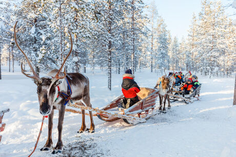 KUZEY IŞIKLARI LAPLAND TURU