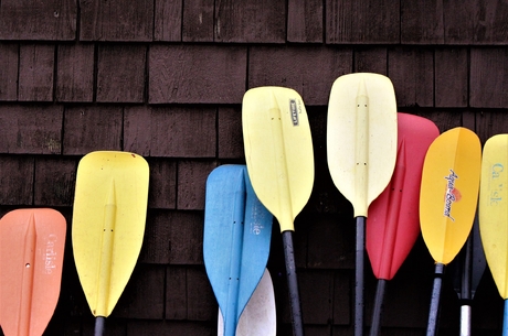 Doğanın kucağında eğlenceli bir aktivite: RAFTING 