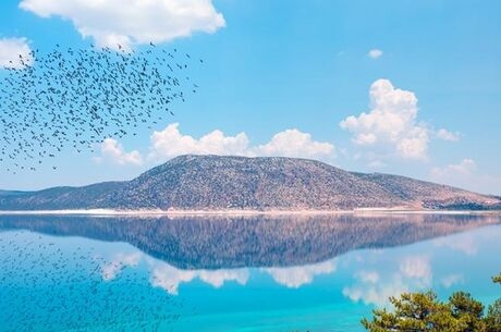 Günübirlik Gül & Lavanta Bahçeleri Turu