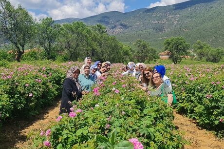 Günübirlik Gül & Lavanta Bahçeleri Turu